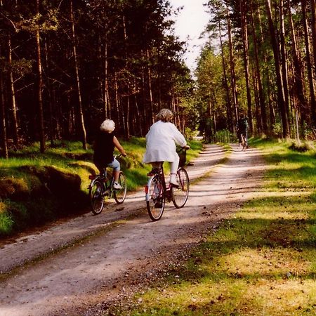 Kleine Auszeit - Natur Und Erholung In Mecklenburg Reimershagen Zewnętrze zdjęcie