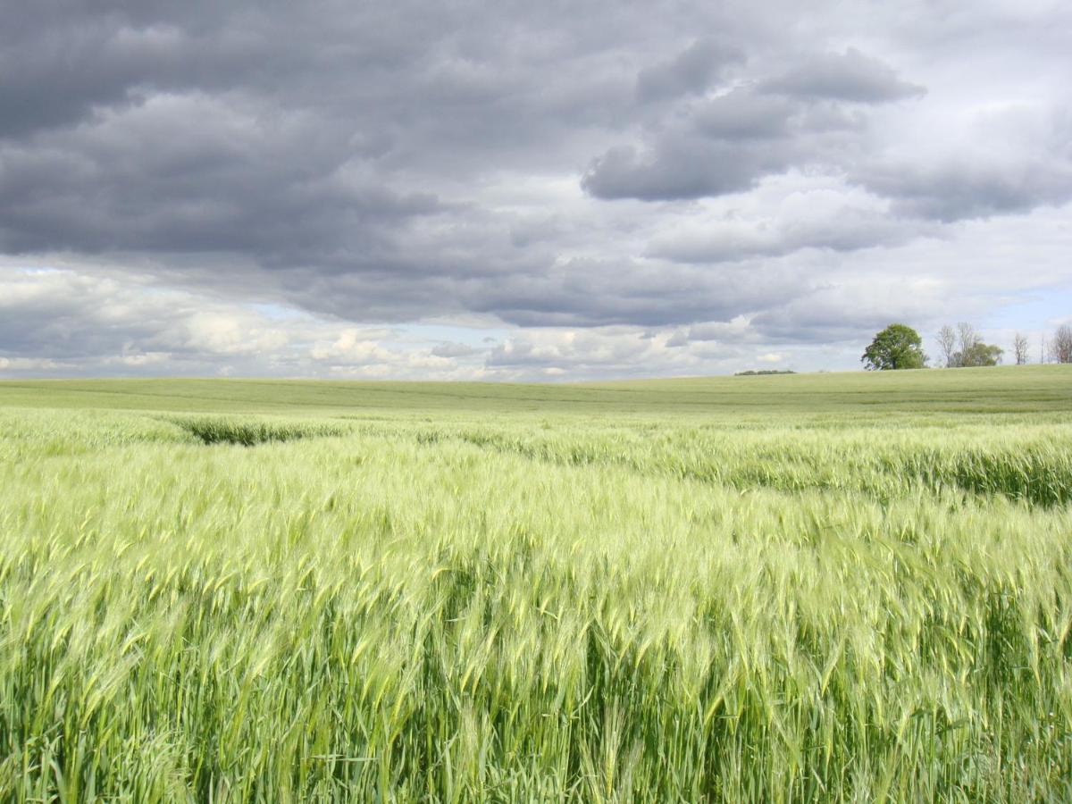 Kleine Auszeit - Natur Und Erholung In Mecklenburg Reimershagen Zewnętrze zdjęcie