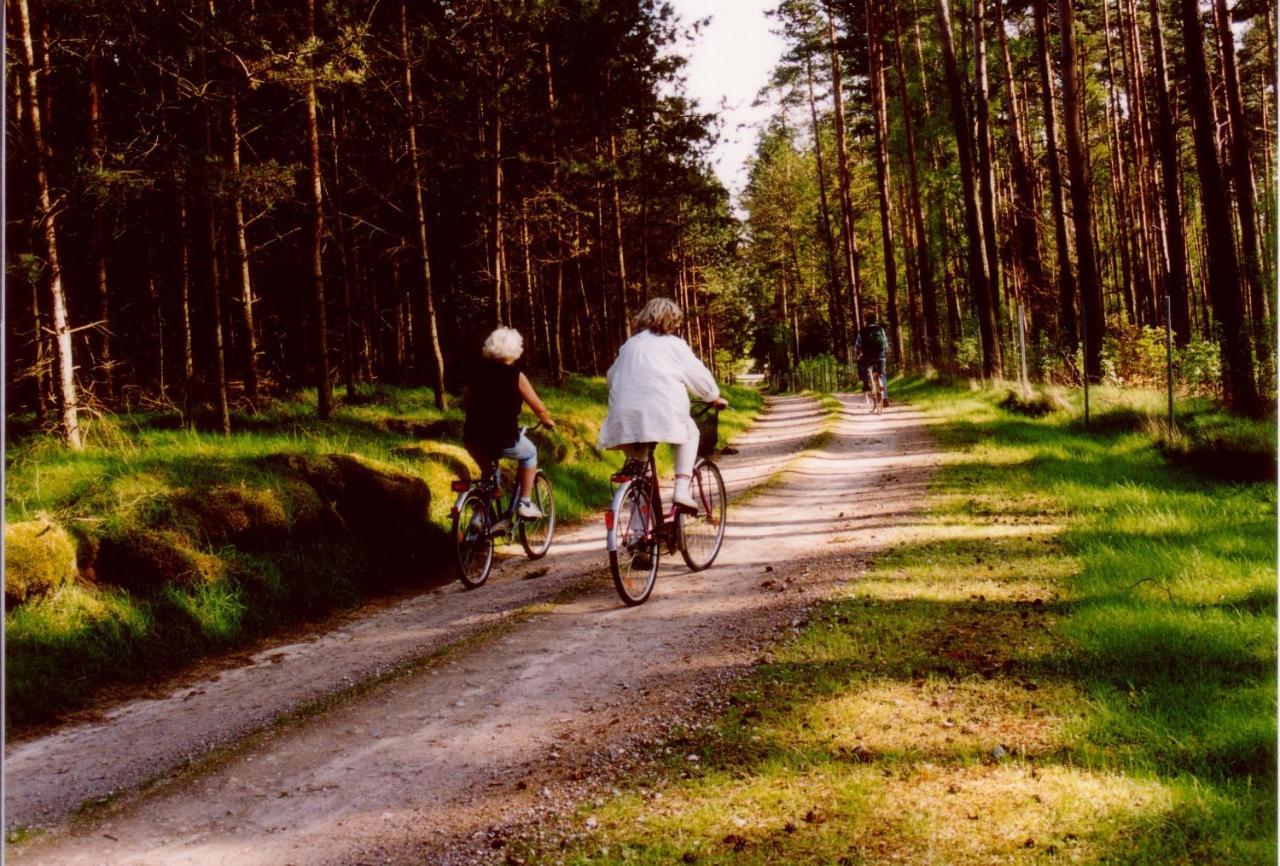 Kleine Auszeit - Natur Und Erholung In Mecklenburg Reimershagen Zewnętrze zdjęcie